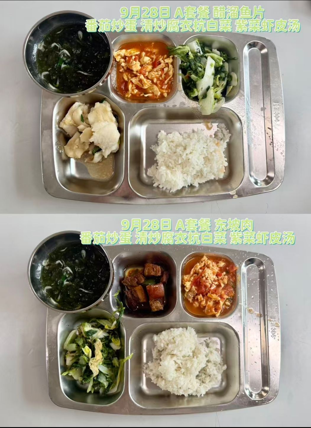 qq_pic_merged_1790579163279.jpg